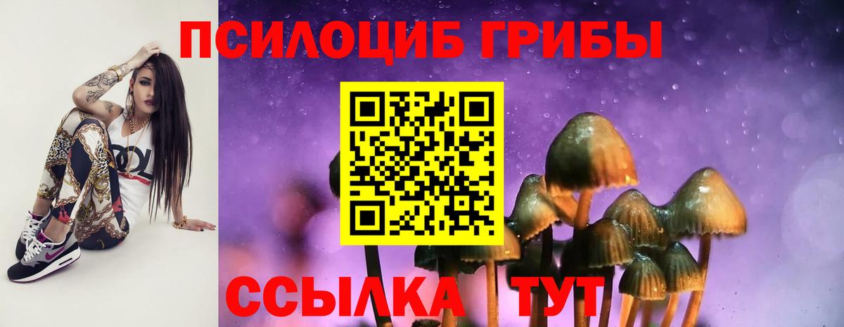 Псилоцибиновые грибы GOLDEN TEACHER Долгопрудный